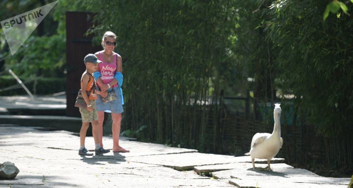 Приморский парк в Гагре