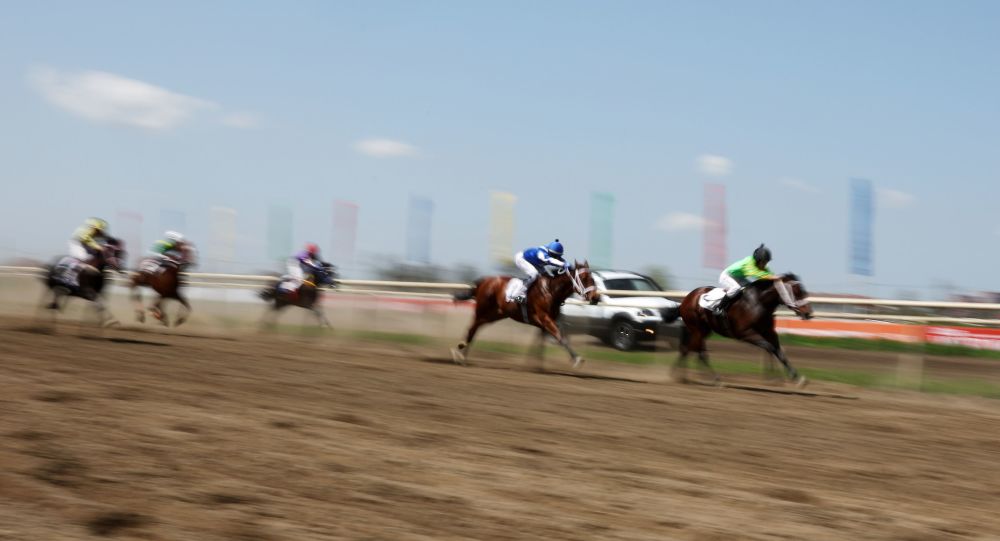 Абхазские лошади победили на скачках в Краснодарском крае