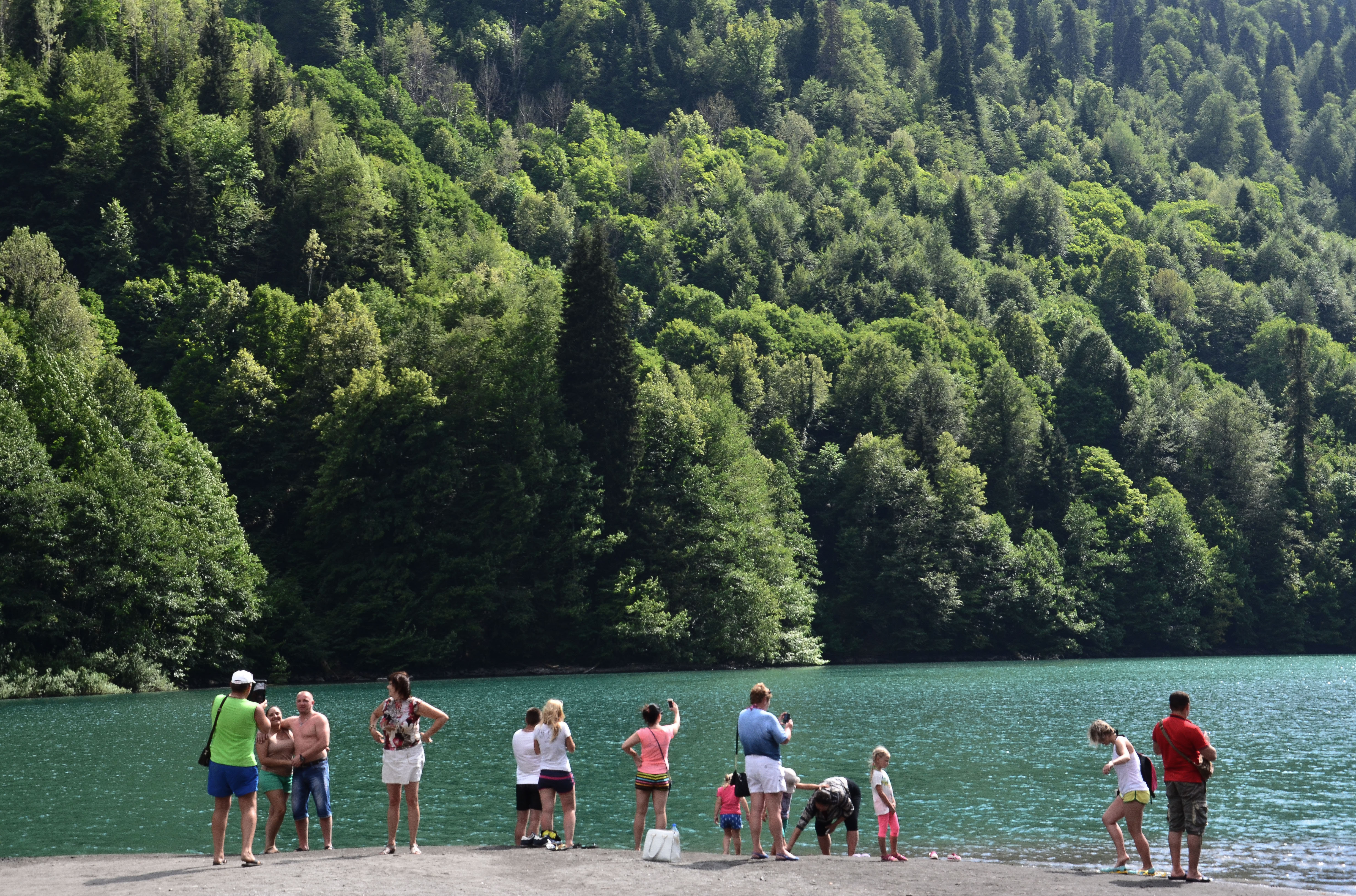 Озеро рица в абхазии фото с экскурсии
