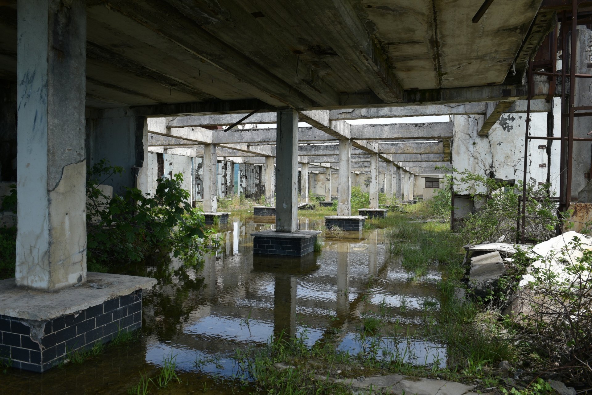 На крыше главного корпуса