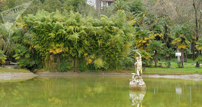 Ремонтные работы в парке Ольденбургского в Гагре