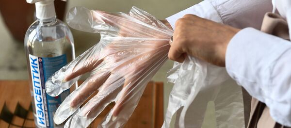  Участок для голосования по поправкам в Конституцию в Новосибирске - Sputnik Абхазия