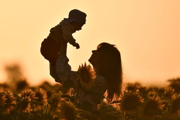 Девушка с ребенком во время цветения подсолнечника на поле в Симферопольском районе - Sputnik Абхазия