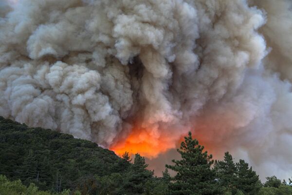 Дым и огонь от природных пожаров в Калифорнии  - Sputnik Абхазия