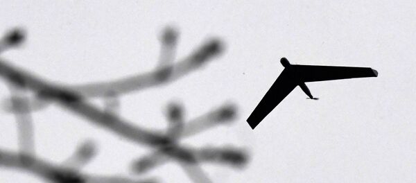 Учения по тушению природных и лесных пожаров в Приморье - Sputnik Аҧсны