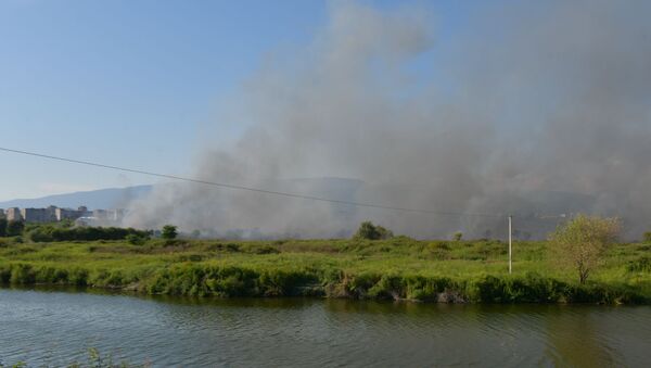 Пожар на пустырях в районе Маяка - Sputnik Абхазия