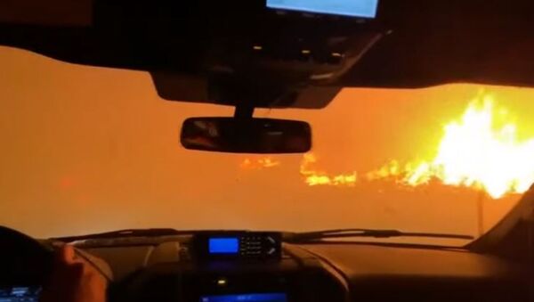 Автомобиль проехал сквозь лесной пожар в Калифорнии - Sputnik Абхазия