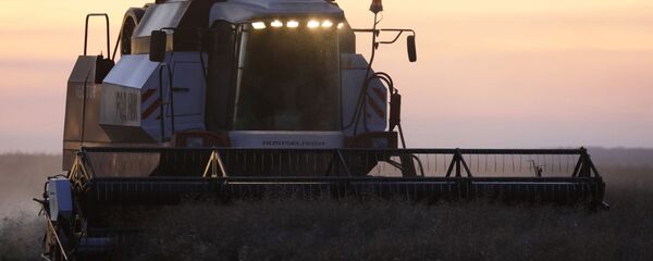 Уборка урожая рапса в Красноярском крае Уборка урожая рапса в Красноярском крае - Sputnik Абхазия