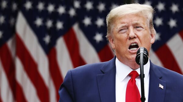 Брифинг президента США Дональда Трампа - Sputnik Абхазия