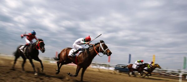 Участники скачек на открытии скакового сезона на Краснодарском ипподроме. Участники скачек на открытии скакового сезона на Краснодарском ипподроме. - Sputnik Абхазия