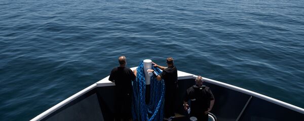 Американский пилотируемый корабль Crew Dragon приводнился в Мексиканском заливе Американский пилотируемый корабль Crew Dragon приводнился в Мексиканском заливе - Sputnik Абхазия