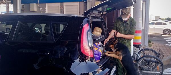 МАПП Адлер Сочинской таможни  - Sputnik Абхазия