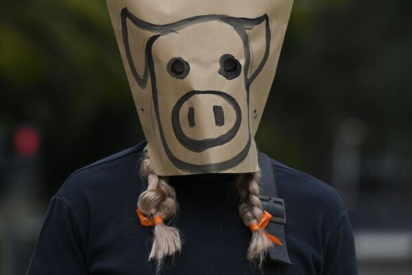 Мужчина в маске из бумажного пакета принимает участие в акции протеста против соглашения между Аргентиной и Китаем о производстве свиней на экспорт, Буэнос-Айрес - Sputnik Абхазия