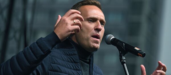 Митинг в поддержку фигурантов московского дела - Sputnik Абхазия