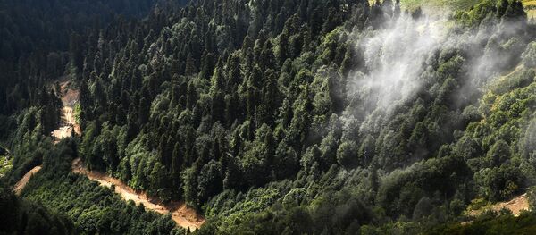 Склоны гор главного Кавказского хребта вна горном курорте Роза хутор в Красной поляне. Склоны гор главного Кавказского хребта вна горном курорте Роза хутор в Красной поляне. - Sputnik Абхазия