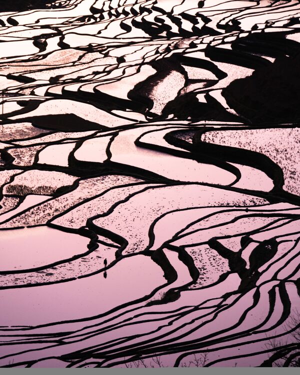 Снимок Yuanyang Rice Terraces фотографа Eric Ho, ставший финалистом в категории LANDSCAPES конкурса National Geographic Traveller Photography Competition 2020 - Sputnik Абхазия