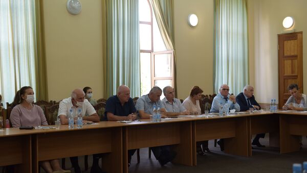 Заседание совета общественной палаты по вопросу ковида(Марианна Кубрава) - Sputnik Абхазия