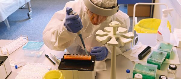 Экспресс-тестирование на COVID-19 в аэропорту Внуково Экспресс-тестирование на COVID-19 в аэропорту Внуково - Sputnik Абхазия