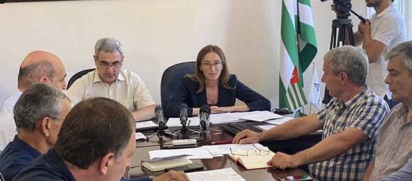 В РУП «Черноморэнерго» прошло совещание по вопросам энергоотрасли - Sputnik Абхазия