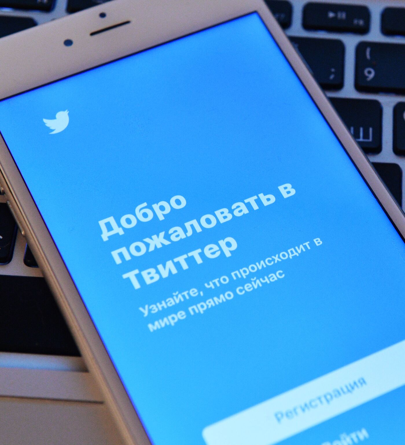 Twitter разблокировал учетную запись вакцины 