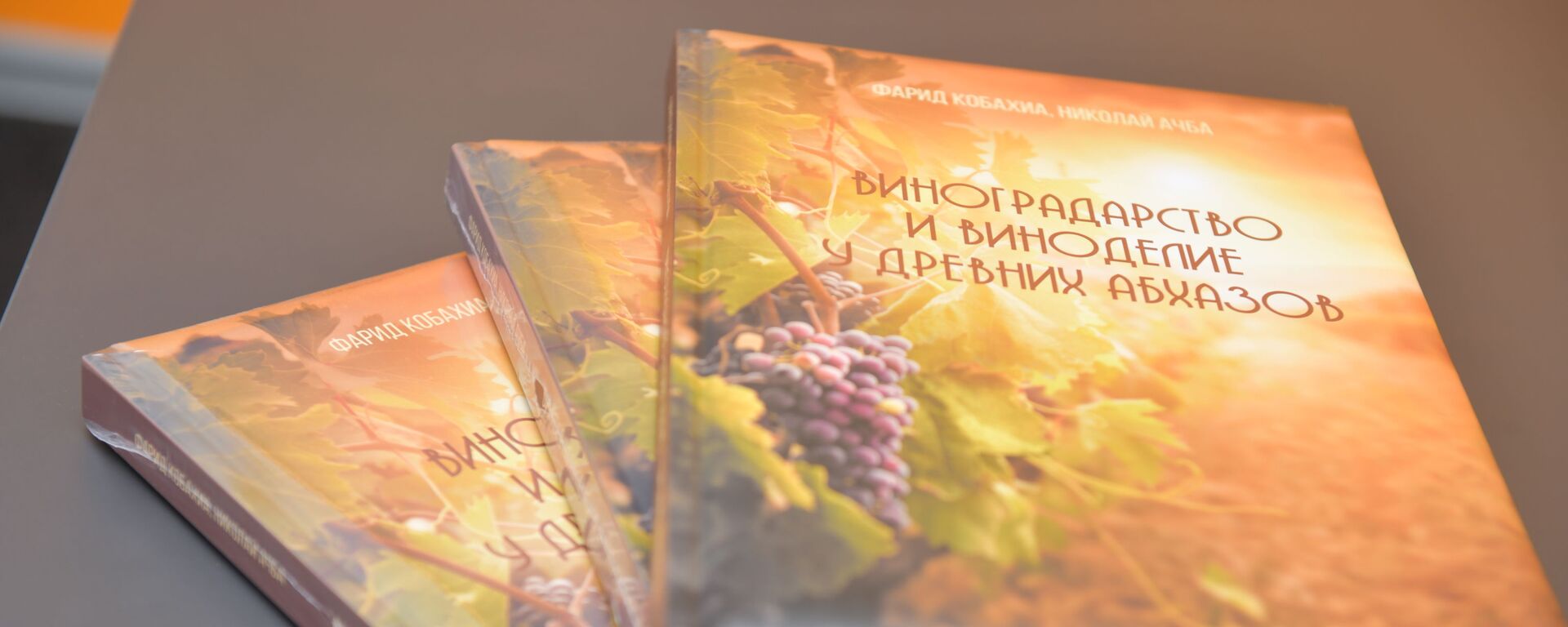 Презентация книги Виноградарство и виноделие у древних абхазов - Sputnik Абхазия, 1920, 02.10.2020