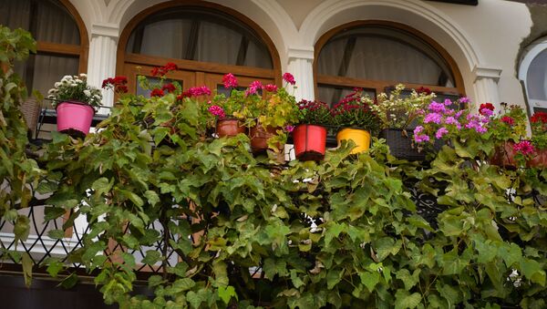 Цветы на балконе - Sputnik Абхазия