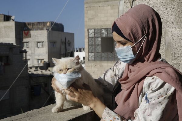 Палестинская художница Хулуд аль-Десуки с кошкой во время изоляции в Хан-Юнисе на юге сектора Газа - Sputnik Абхазия