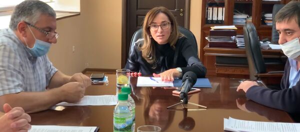 21 октября в Министерстве экономики РА под председательством Вице-премьера, Министра экономики Кристины Озган состоялось рабочее совещание по вопросам цифровизации государственных услуг. - Sputnik Абхазия