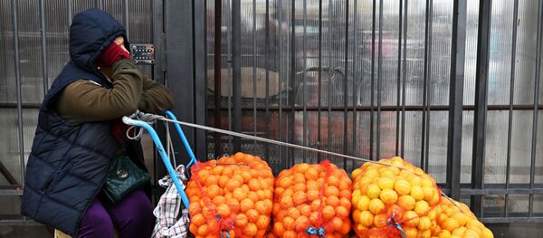 Продажа мандаринов на границе России и Абхазии Продажа мандаринов на границе России и Абхазии - Sputnik Абхазия