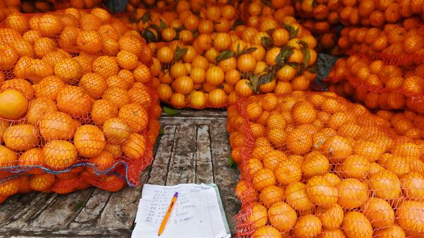 Продажа мандаринов на границе России и Абхазии - Sputnik Абхазия