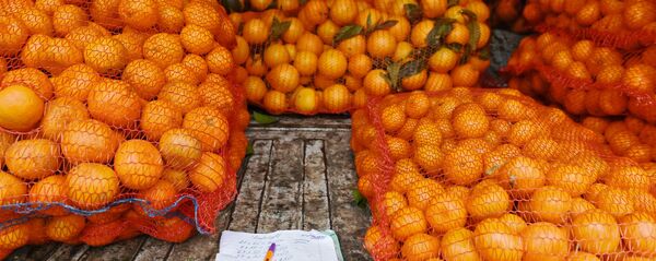 Продажа мандаринов на границе России и Абхазии Продажа мандаринов на границе России и Абхазии - Sputnik Абхазия