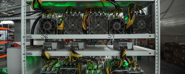 Стеллажи с фермами для майнинга криптовалют Стеллажи с фермами для майнинга криптовалют - Sputnik Абхазия