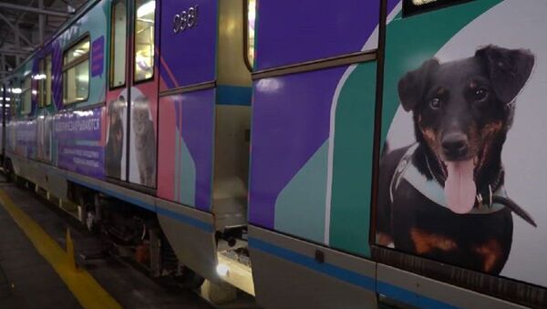 Особенный поезд московского метро: как проект Хвосты и лапки помогает бездомным животным - Sputnik Абхазия