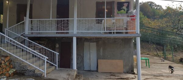 Фонд защиты животных Багира открылся в Абхазии Фонд защиты животных Багира открылся в Абхазии - Sputnik Абхазия