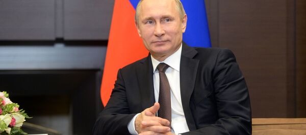 Двусторонняя встреча президента РФ В. Путина с президентом Индонезии Джоко Видодо - Sputnik Абхазия