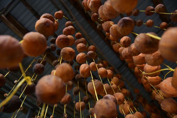 Сушеная хурма - излюбленное абхазское лакомство. Спелые плоды очищают от кожуры, обвязывают черенки прочной ниткой и сушат на солнце. - Sputnik Абхазия