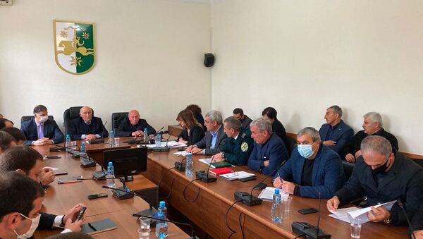 Заседание в парламенте по состоянию энергетической системы страны - Sputnik Абхазия