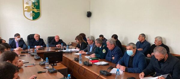 Заседание в парламенте по состоянию энергетической системы страны - Sputnik Абхазия