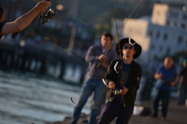 За раз на крючки могут попасть несколько рыб  - Sputnik Абхазия