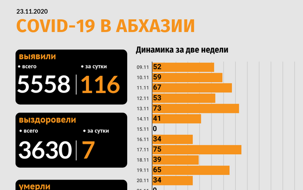 Динамика случаев коронавируса в Абхазии за две недели - Sputnik Абхазия