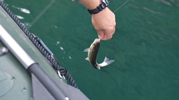 Рыбалка на озере Рица - Sputnik Абхазия