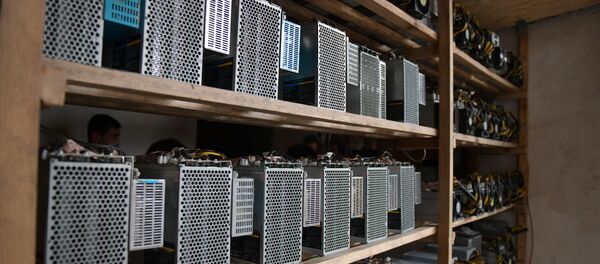 Последняя ферма по сравнению с первыми двумя, оказалась совсем небольшой – всего 57 аппаратов  Последняя ферма по сравнению с первыми двумя, оказалась совсем небольшой – всего 57 аппаратов  - Sputnik Абхазия