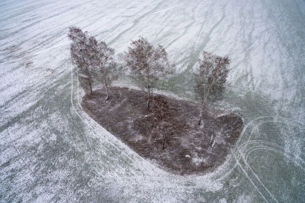 Снегопад на поле с озимыми культурами в Новосибирской области - Sputnik Абхазия