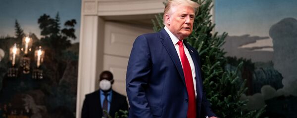 Дональд Трамп Дональд Трамп - Sputnik Абхазия