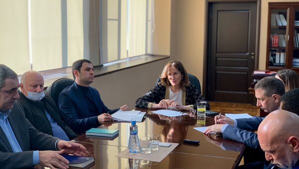 Министр экономики Республики Абхазия Кристина Озган провела совещание по вопросам реализации Инвестпрограммы  - Sputnik Аҧсны