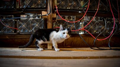 Рейд по отключению майнинг ферм в очамчырском р-не