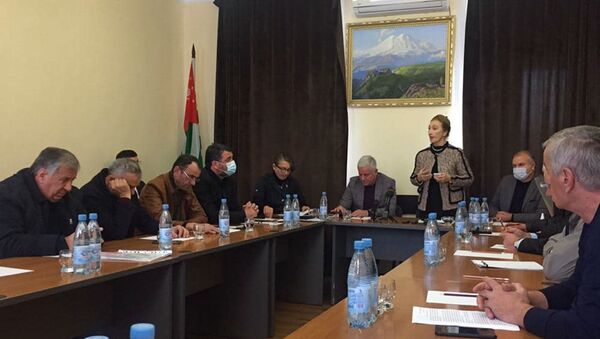 Заседание Совета Общественной палаты - Sputnik Абхазия