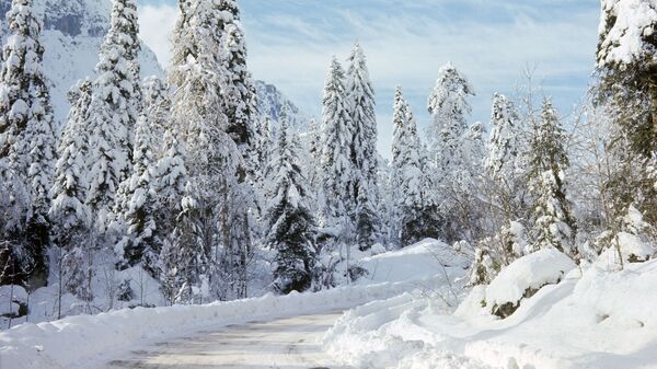 Дорога на озеро Рица зимой. - Sputnik Аҧсны