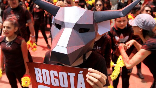 Участник акции протеста против сезона корриды в Боготе, Колумбия - Sputnik Абхазия