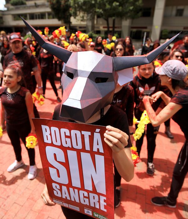 Участник акции протеста против сезона корриды в Боготе, Колумбия - Sputnik Абхазия